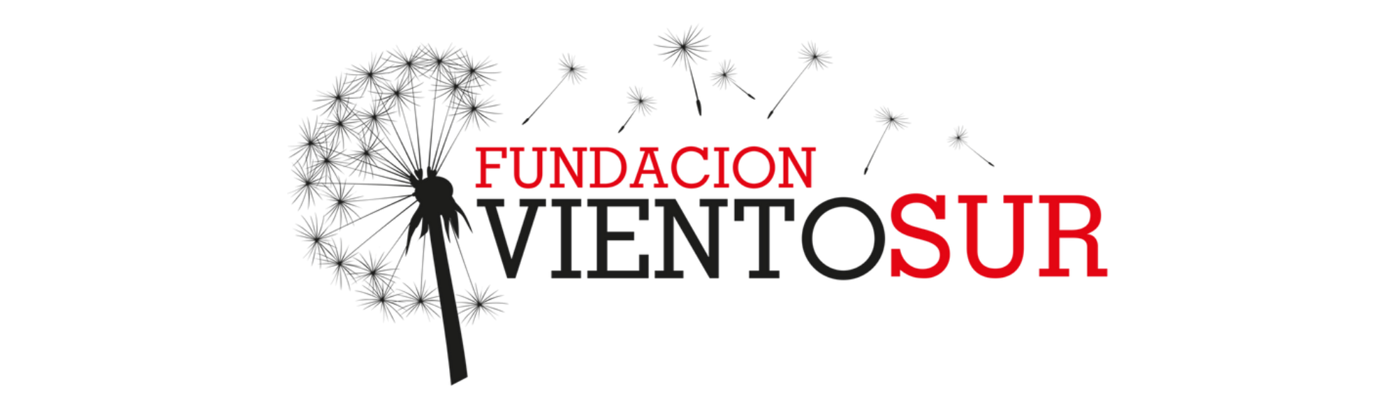 Fundación Viento Sur